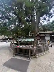 磐座神社（大神神社摂社）(奈良県)