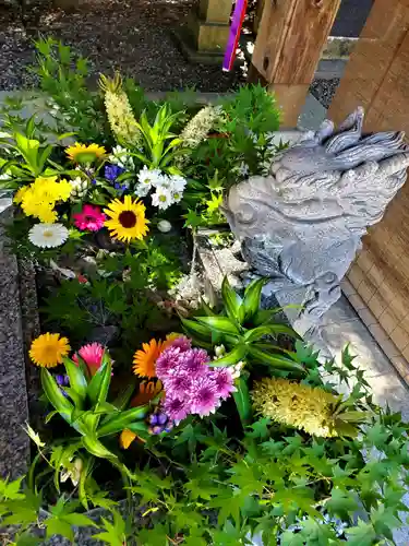 滑川神社 - 仕事と子どもの守り神の手水