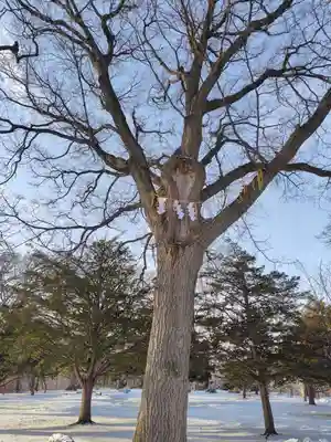 厚別神社(北海道)