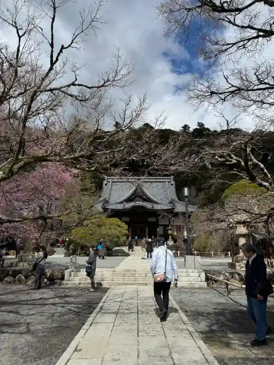 修禅寺の{uncategorized: "未分類", other: "その他", undefined: "問題あり", building: "その他建物", grave: "お墓", sacred_gate: "鳥居", guardian: "狛犬", statue: "像", buddha: "仏像", history: "歴史", nature: "自然", garden: "庭園", animal: "動物", pagoda: "塔", temizu: "手水舎", mountain_gate: "山門・神門", sanctuary: "本殿・本堂", subordinate: "末社・摂社", art: "芸術", scenery: "景色", jizo: "地蔵", ema: "絵馬", goshuin: "御朱印", omikuji: "おみくじ", items: "授与品その他", amulet: "お守り", goshuincho: "御朱印帳", eats: "食事", festival: "お祭り", votive_dance: "神楽", shichigosan: "七五三参", wedding: "結婚式", experience: "体験その他", initially: "初詣", around: "周辺", anti_infection: "感染症対策"}