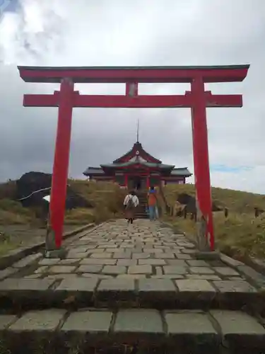 箱根元宮の鳥居