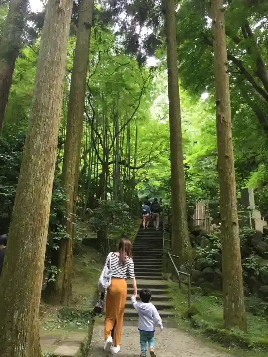 東慶寺の{uncategorized: "未分類", other: "その他", undefined: "問題あり", building: "その他建物", grave: "お墓", sacred_gate: "鳥居", guardian: "狛犬", statue: "像", buddha: "仏像", history: "歴史", nature: "自然", garden: "庭園", animal: "動物", pagoda: "塔", temizu: "手水舎", mountain_gate: "山門・神門", sanctuary: "本殿・本堂", subordinate: "末社・摂社", art: "芸術", scenery: "景色", jizo: "地蔵", ema: "絵馬", goshuin: "御朱印", omikuji: "おみくじ", items: "授与品その他", amulet: "お守り", goshuincho: "御朱印帳", eats: "食事", festival: "お祭り", votive_dance: "神楽", shichigosan: "七五三参", wedding: "結婚式", experience: "体験その他", initially: "初詣", around: "周辺", anti_infection: "感染症対策"}