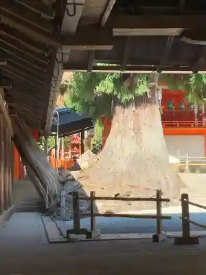 春日大社(奈良県)