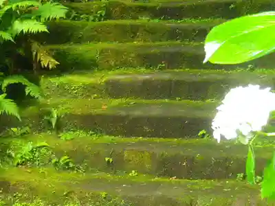 妙法寺のその他建物