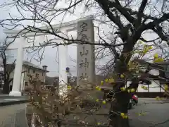 宝登山神社(埼玉県)