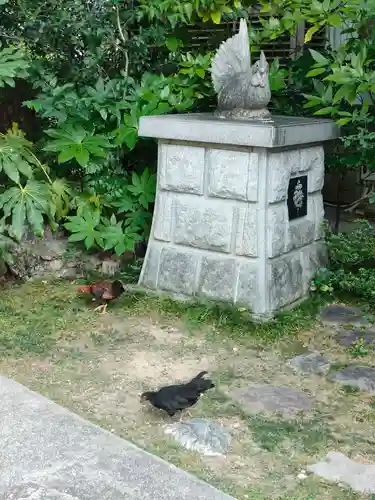 高知大神宮の狛犬