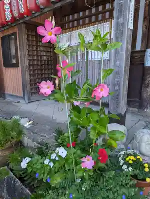 引接寺（千本ゑんま堂）(京都府)