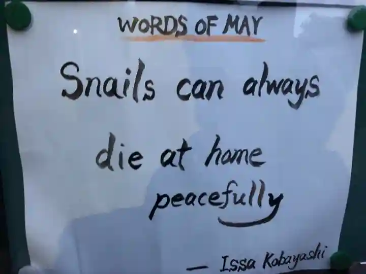 普賢寺の体験その他