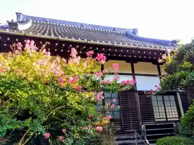 薬王山 法海寺の本殿・本堂