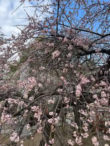 川口神社(埼玉県)