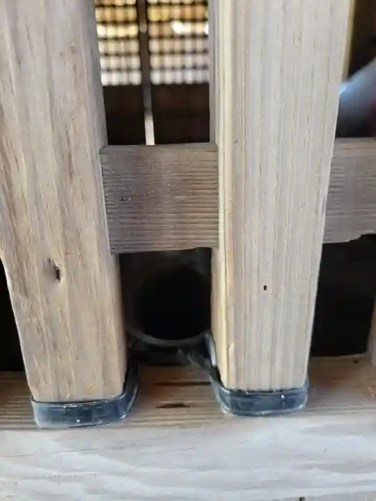 素鵞神社(愛媛県)