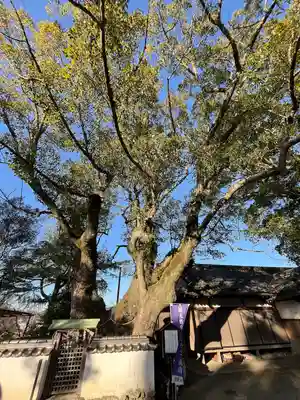 藤白神社(和歌山県)