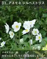 宝光寺(北海道)