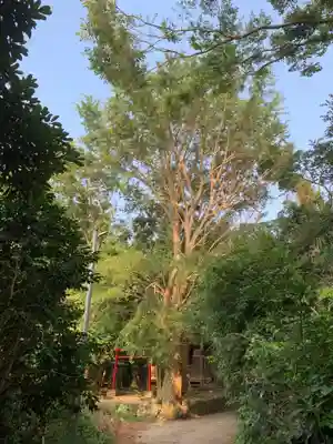 住吉神社の自然