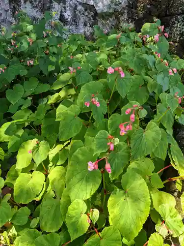 妙義神社(群馬県)