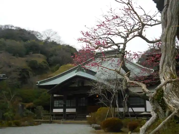 海蔵寺の本殿・本堂
