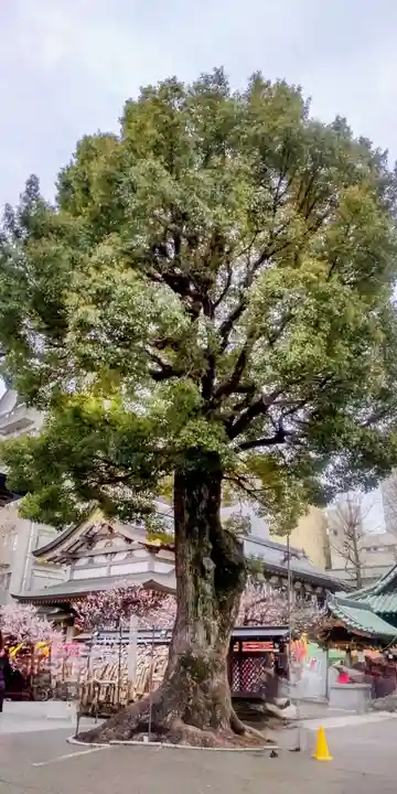 湯島天満宮(東京都)