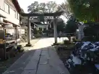 香取神社(関宿香取神社)の七五三参