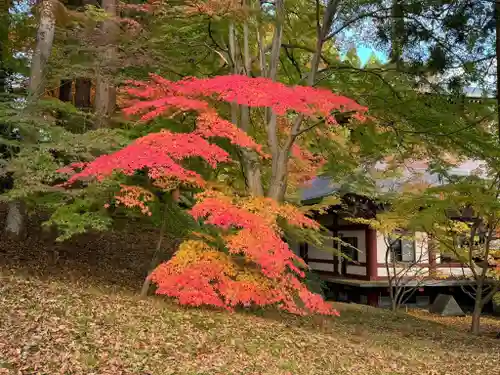 楽水亭　大龍寺(秋田県)