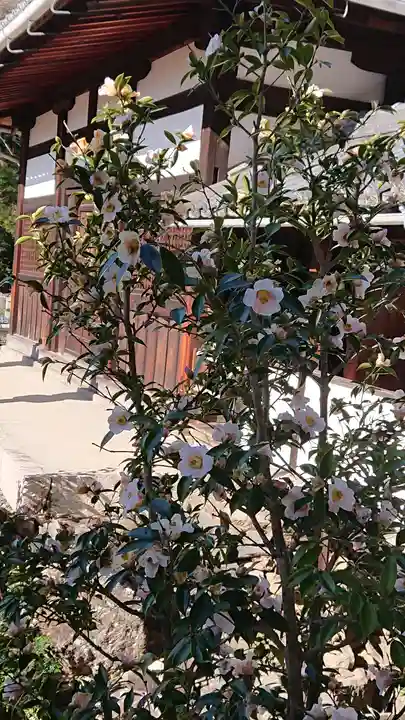 興聖寺(興聖寶林禅寺)(京都府)