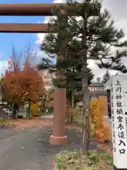 上川神社頓宮の自然