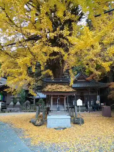 正法寺(滋賀県)