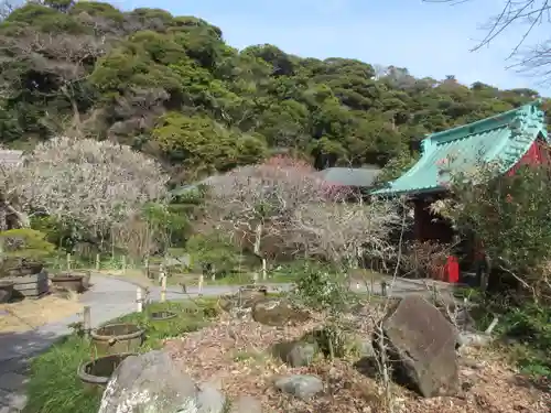 光則寺の庭園