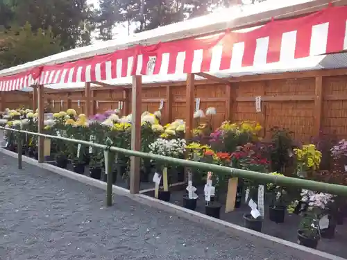 川勾神社の自然
