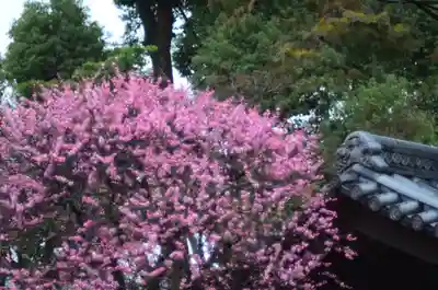 片埜神社(大阪府)