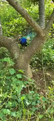 楽法寺（雨引観音）(茨城県)