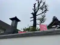 上聖寺の{uncategorized: "未分類", other: "その他", undefined: "問題あり", building: "その他建物", grave: "お墓", sacred_gate: "鳥居", guardian: "狛犬", statue: "像", buddha: "仏像", history: "歴史", nature: "自然", garden: "庭園", animal: "動物", pagoda: "塔", temizu: "手水舎", mountain_gate: "山門・神門", sanctuary: "本殿・本堂", subordinate: "末社・摂社", art: "芸術", scenery: "景色", jizo: "地蔵", ema: "絵馬", goshuin: "御朱印", omikuji: "おみくじ", items: "授与品その他", amulet: "お守り", goshuincho: "御朱印帳", eats: "食事", festival: "お祭り", votive_dance: "神楽", shichigosan: "七五三参", wedding: "結婚式", experience: "体験その他", initially: "初詣", around: "周辺", anti_infection: "感染症対策"}