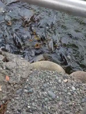 大瀬神社(静岡県)