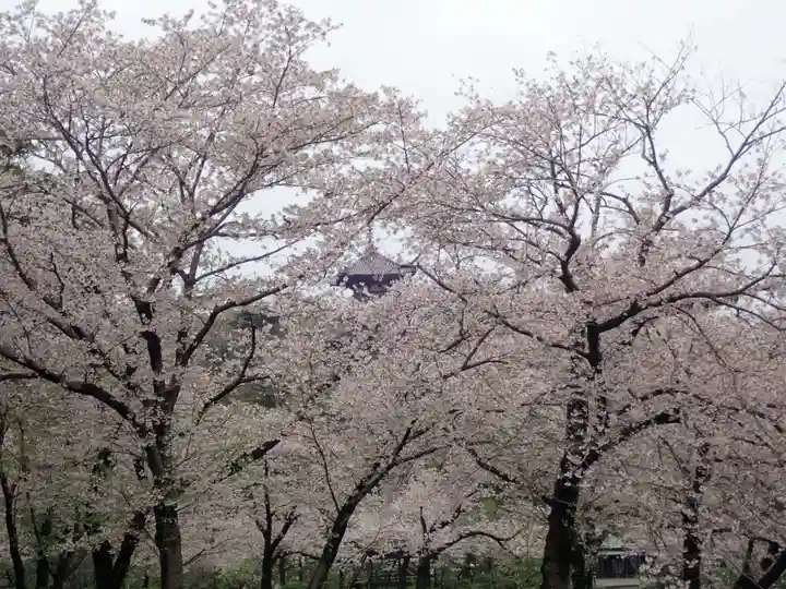 根岸八幡神社(神奈川県)