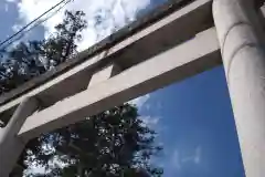 甲斐國一宮 浅間神社の鳥居