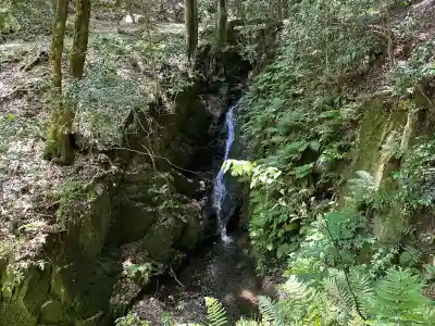養父神社の自然