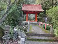 桜井寺（櫻井寺）(愛知県)