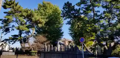 大乘院のその他建物