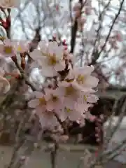 賀羅加波神社(広島県)