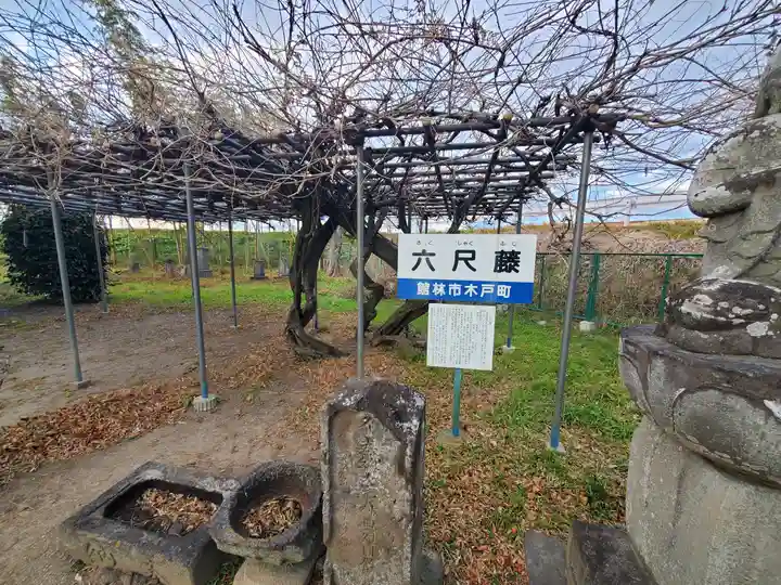 深諦寺(群馬県)