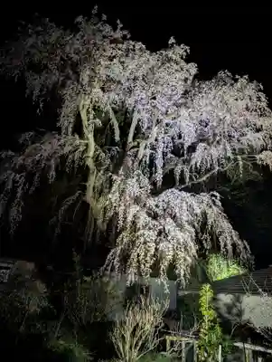 福聚寺(福島県)