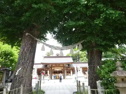 亀ケ池八幡宮の自然