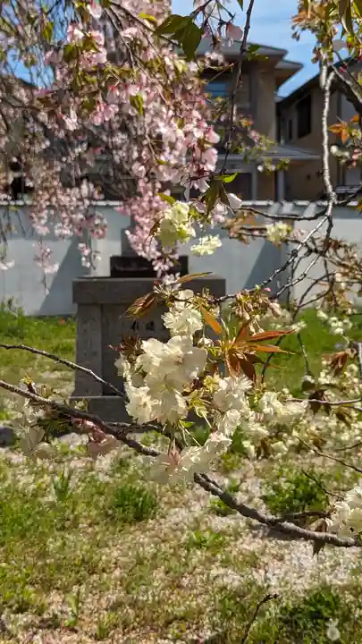 橋寺 放生院(京都府)
