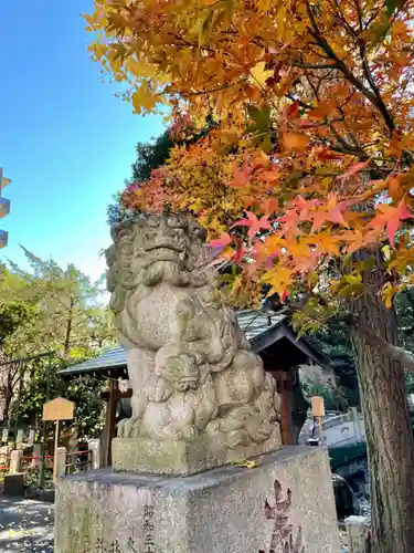 江島杉山神社の狛犬