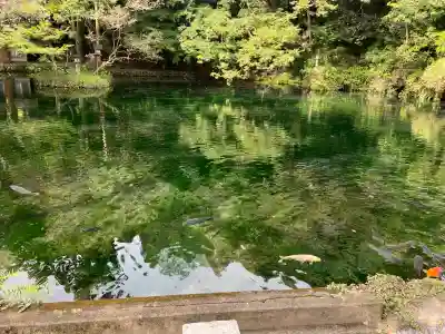 磯山弁財天(栃木県)