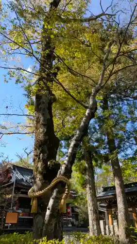 山中諏訪神社の{uncategorized: "未分類", other: "その他", undefined: "問題あり", building: "その他建物", grave: "お墓", sacred_gate: "鳥居", guardian: "狛犬", statue: "像", buddha: "仏像", history: "歴史", nature: "自然", garden: "庭園", animal: "動物", pagoda: "塔", temizu: "手水舎", mountain_gate: "山門・神門", sanctuary: "本殿・本堂", subordinate: "末社・摂社", art: "芸術", scenery: "景色", jizo: "地蔵", ema: "絵馬", goshuin: "御朱印", omikuji: "おみくじ", items: "授与品その他", amulet: "お守り", goshuincho: "御朱印帳", eats: "食事", festival: "お祭り", votive_dance: "神楽", shichigosan: "七五三参", wedding: "結婚式", experience: "体験その他", initially: "初詣", around: "周辺", anti_infection: "感染症対策"}