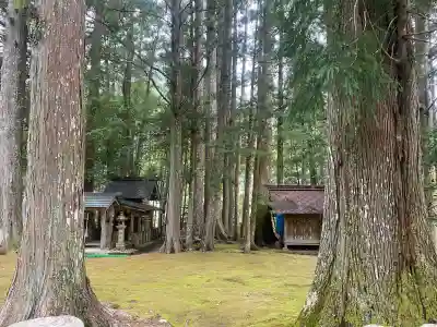 花知神社の{uncategorized: "未分類", other: "その他", undefined: "問題あり", building: "その他建物", grave: "お墓", sacred_gate: "鳥居", guardian: "狛犬", statue: "像", buddha: "仏像", history: "歴史", nature: "自然", garden: "庭園", animal: "動物", pagoda: "塔", temizu: "手水舎", mountain_gate: "山門・神門", sanctuary: "本殿・本堂", subordinate: "末社・摂社", art: "芸術", scenery: "景色", jizo: "地蔵", ema: "絵馬", goshuin: "御朱印", omikuji: "おみくじ", items: "授与品その他", amulet: "お守り", goshuincho: "御朱印帳", eats: "食事", festival: "お祭り", votive_dance: "神楽", shichigosan: "七五三参", wedding: "結婚式", experience: "体験その他", initially: "初詣", around: "周辺", anti_infection: "感染症対策"}