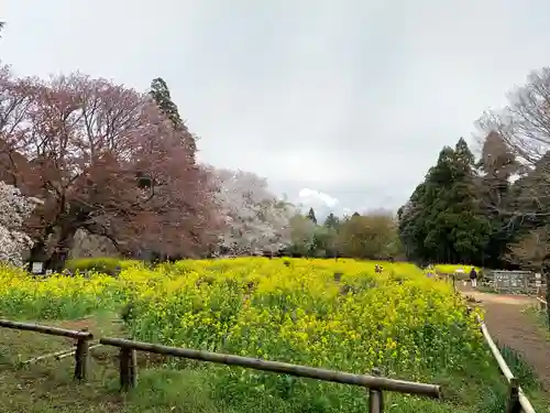 小鷹神社(千葉県)