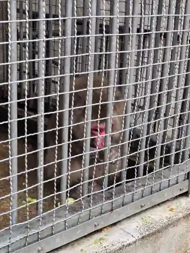 日吉大社(滋賀県)