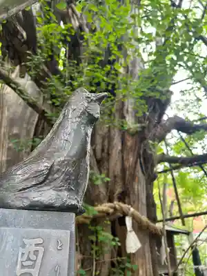 稲毛神社(神奈川県)