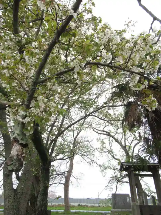 神明神社(千葉県)
